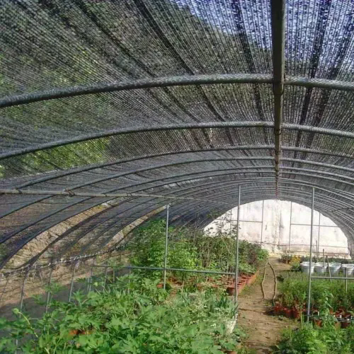 The Benefits of Using Sun Shade Nets for Plants: Maximizing Growth and Protection
