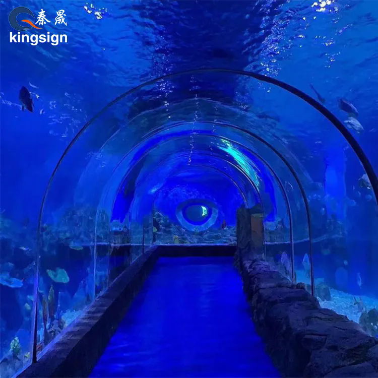 Exploring the Wonders of Aquarium Tunnels: A Journey Beneath the Waves