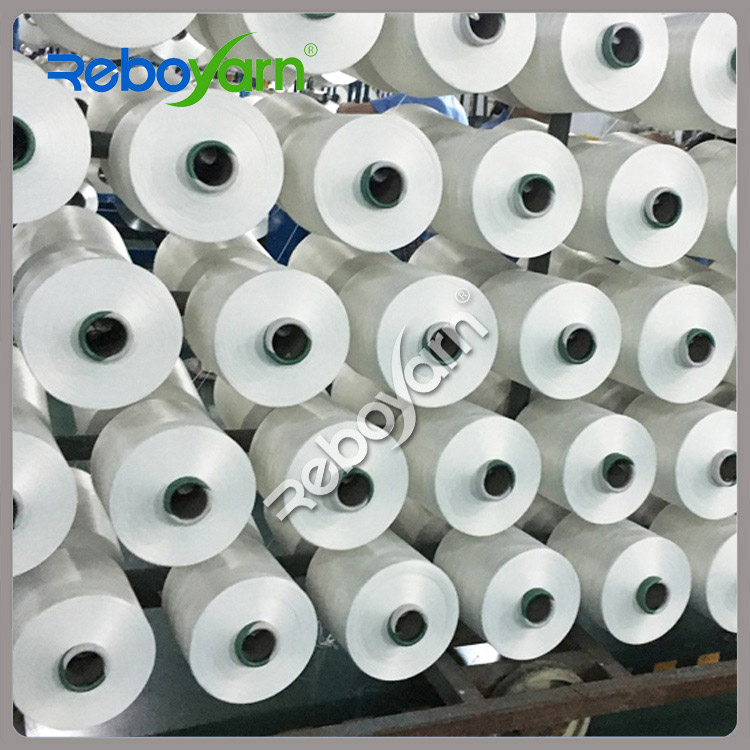 Recycled Polyester DTY: Paving the Way for Sustainable Fashion