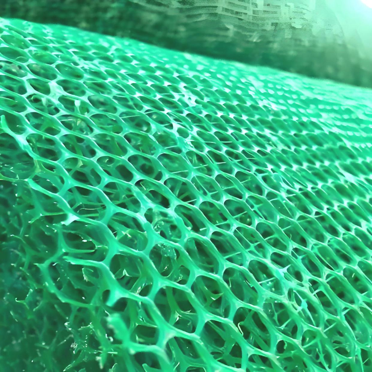 PP Geotextile Factory: Your Trusted Source for High-Performance Geosynthetics