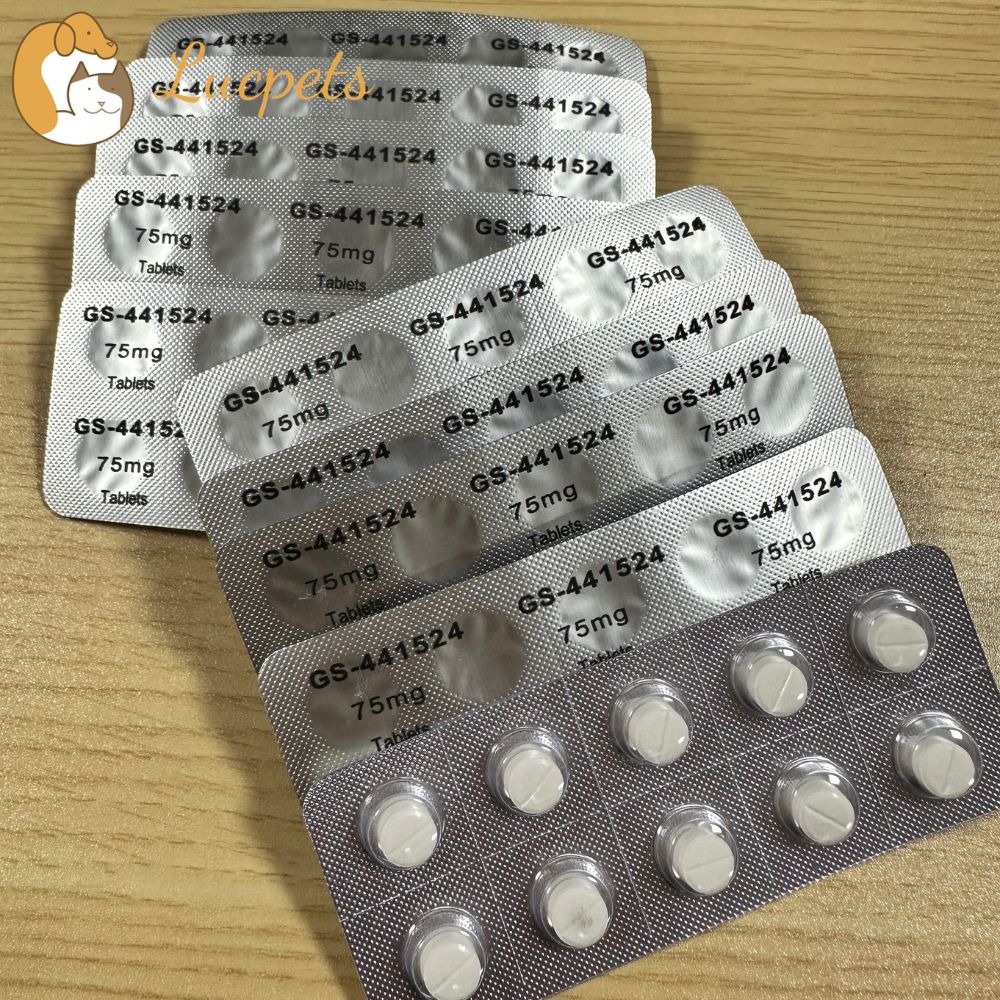 GS-441524 Tablets Distributor: How to Find a Reliable Supplier