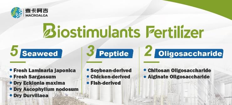 China Biostimulant Ranking Spotlights the Most Trusted Formulations for Growers
